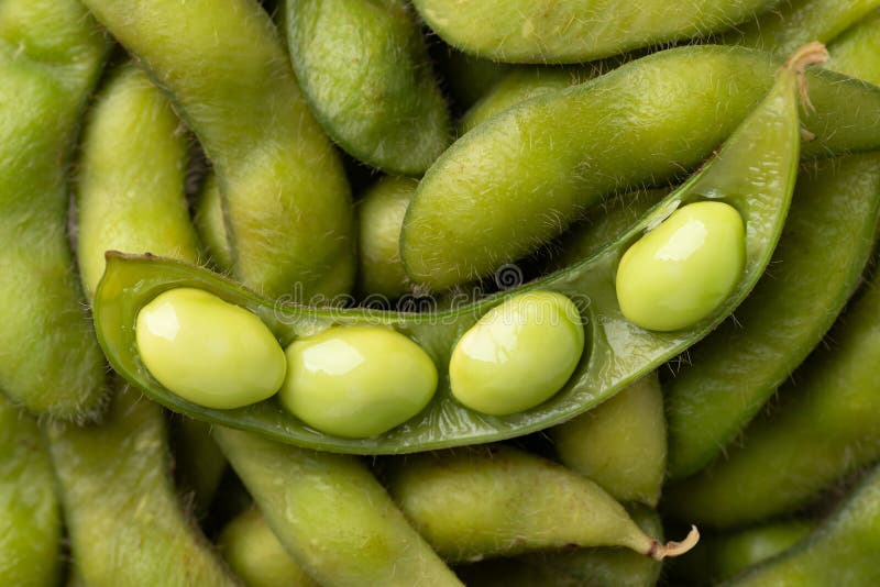 Feijões Edamame cozidos (soja japonesa) imagens de stock