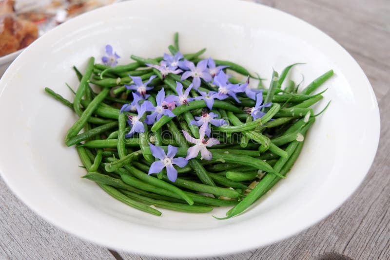 Feijões verdes franceses com as flores e alho azuis comestíveis do borage imagem de stock Feijões verdes franceses com as flores e alho azuis comestíveis do borage imagem de stock