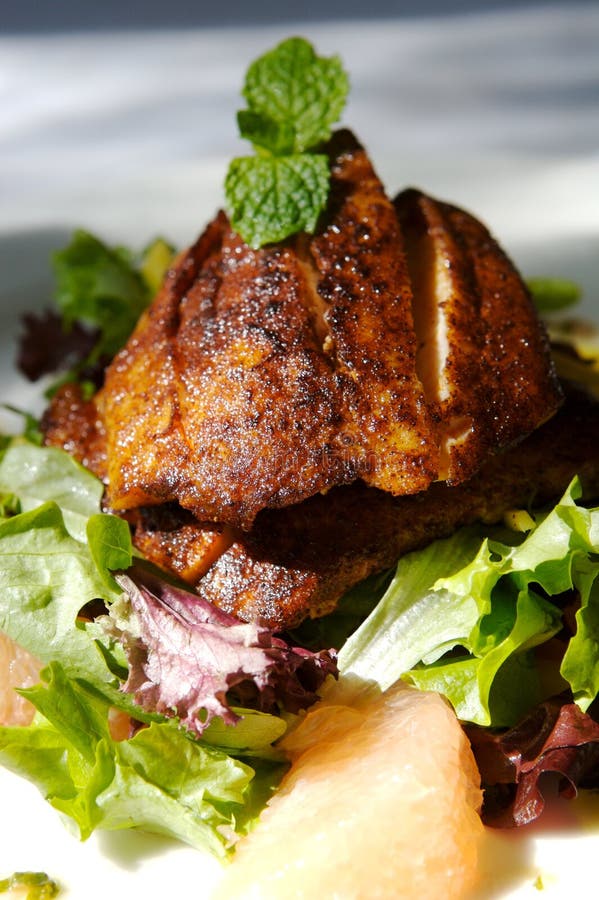 Feinschmeckerischer Fisch- Und Zitrusfruchtsalat Stockbild - Bild von ... Feinschmeckerischer Fisch- Und Zitrusfruchtsalat Stockbild - Bild von ...