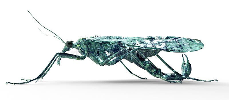 Fel för dator för Digital säkerhetsbegrepp som isoleras på vit, illust 3D stock illustrationer Fel för dator för Digital säkerhetsbegrepp som isoleras på vit, illust 3D stock illustrationer