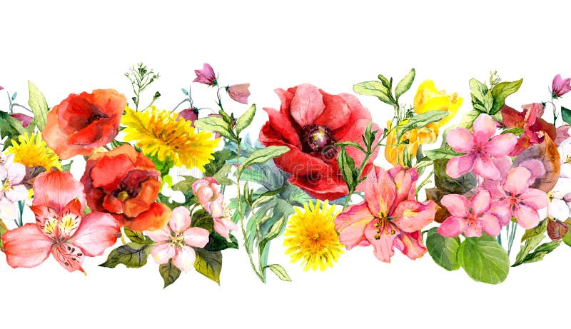 Feld blüht, Sommergräser und Blätter Wiederholen der horizontalen Grenze watercolor stock abbildung Feld blüht, Sommergräser und Blätter Wiederholen der horizontalen Grenze watercolor stock abbildung