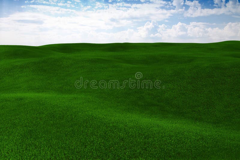 Feld des Grases 3d und ein vollkommener Himmel