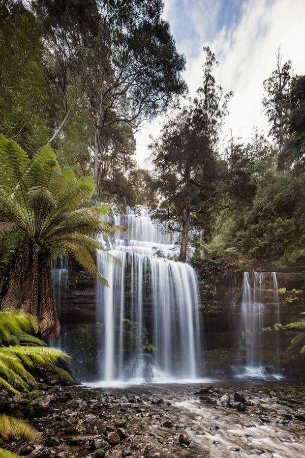 Feld-Nationalpark Russell Fallss n Mt, Teil von Tasmanien-` s Welt stockbild Feld-Nationalpark Russell Fallss n Mt, Teil von Tasmanien-` s Welt stockbild
