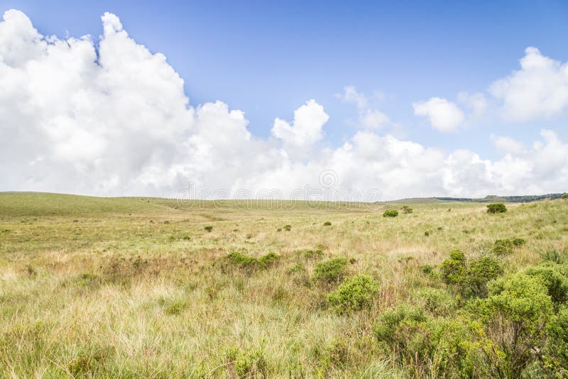 Feld und Hügel stockbilder Feld und Hügel stockbilder