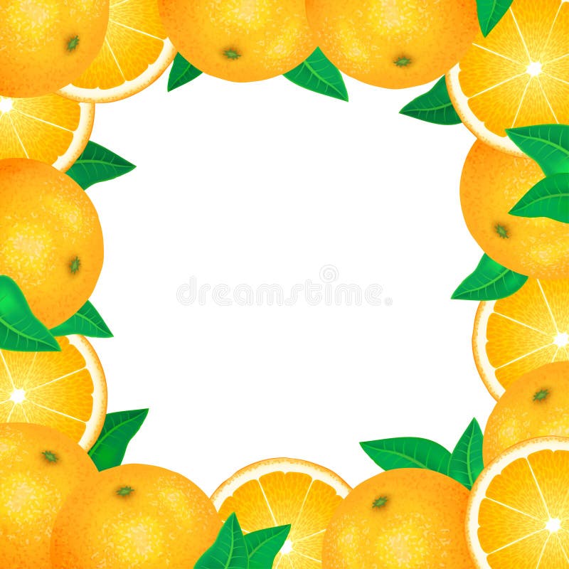 Feld von frischen Orangen Natürliche Biofrüchte, gesundes biologisches Lebensmittel stock abbildung Feld von frischen Orangen Natürliche Biofrüchte, gesundes biologisches Lebensmittel stock abbildung