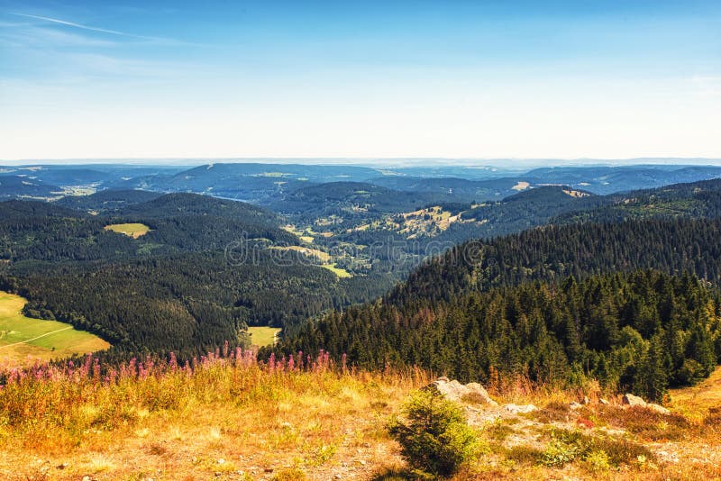 Feldberg, Bosque Negro Alemania Imagen de archivo Imagen de bosque