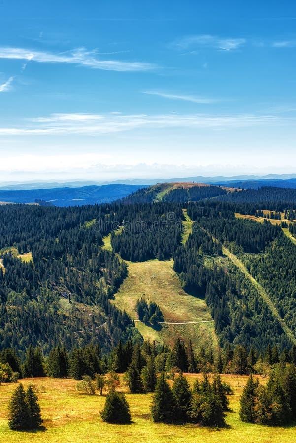 Feldberg, Bosque Negro Alemania Imagen de archivo Imagen de bosque