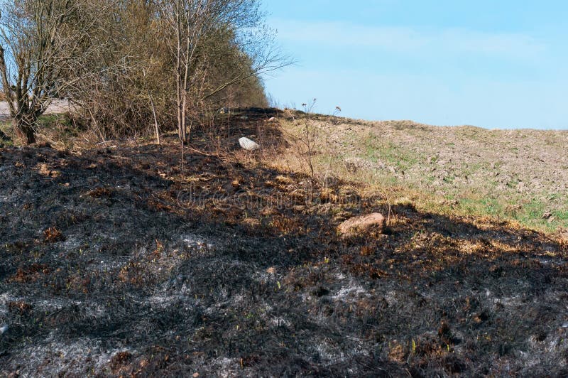 Feldgras des brennenden letzten Jahres, brennendes Gras auf dem Gebiet stockbild Feldgras des brennenden letzten Jahres, brennendes Gras auf dem Gebiet stockbild