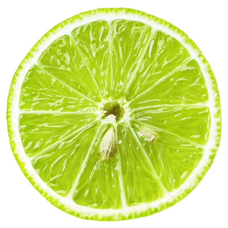 Felia de citrice de var izolată pe alb royalty free stock image
