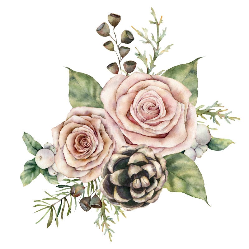 Felicitare de Crăciun cu trandafiri, conuri de pin și ramură de brad. compoziție florală pictată manual cu semințe de flori și royalty free stock photo