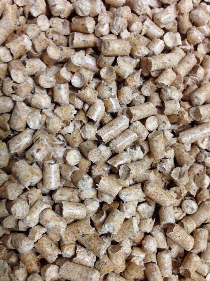 Feline Pine Litter stock photo. Image of feline, fresh 43830294