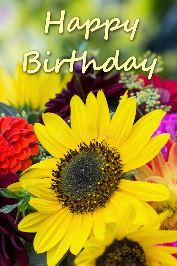 Frasi Buon Compleanno Con Girasoli Tarjeta Del Feliz Cumpleaños Del Girasol Fotos - Libres de Derechos y