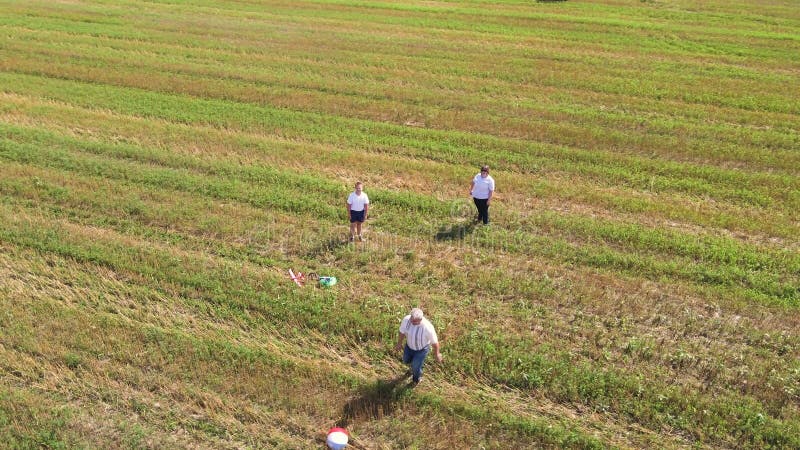 Feliz joven familia jugando bola al aire libre vista aérea. metrajes