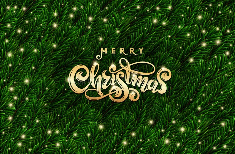 Feliz Natal dourado do texto Ramos de árvore verdes realísticos do abeto vermelho Quadro festivo dos ramos do abeto do vetor Rotu