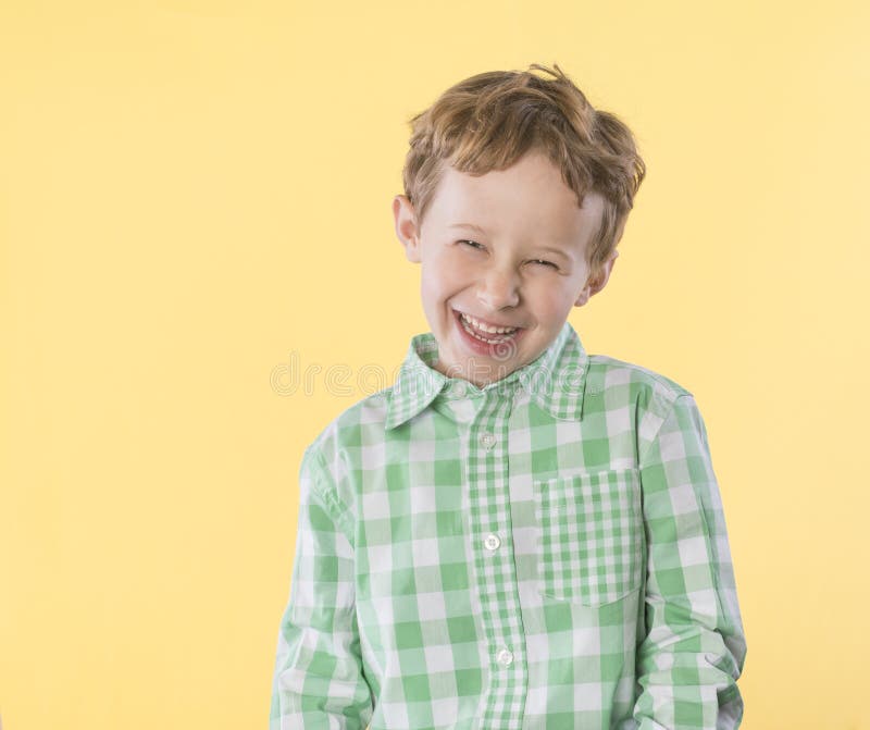 Feliz, Niño Pequeño En Camisa a Cuadros Verde Y Blanca Foto de - Imagen de fondo, camisa: 142092540