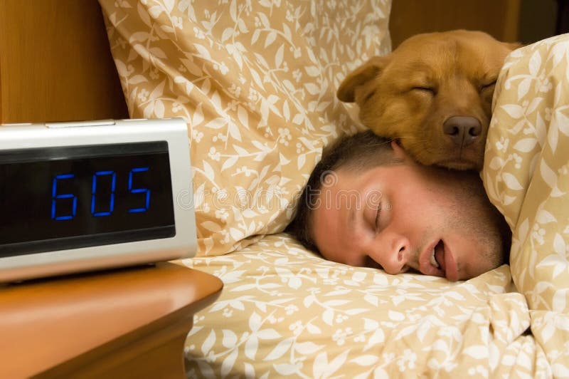 Fell into profound sleep royalty free stock photography Fell into profound sleep royalty free stock photography