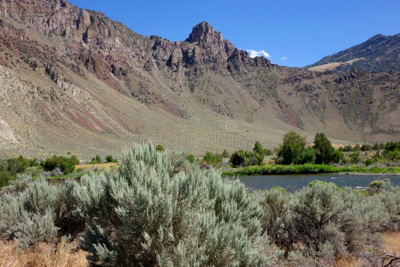 Felsig, Salmon River Canyon - Idaho stockbild Felsig, Salmon River Canyon - Idaho stockbild