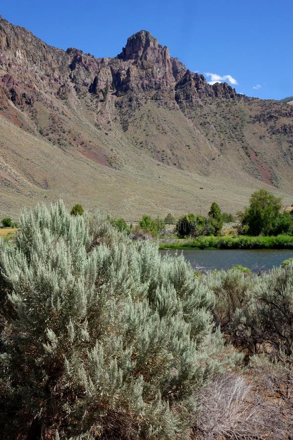 Felsig, Salmon River Canyon - Idaho lizenzfreies stockbild Felsig, Salmon River Canyon - Idaho lizenzfreies stockbild