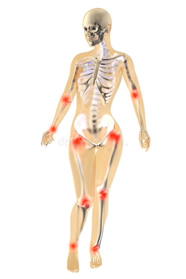 Female Anatomy Joint Ache Stock Illustration Illustration of human