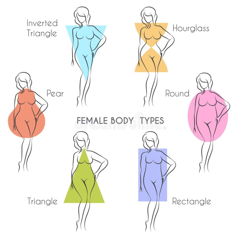 Body Shape Stock Illustrations – 140,575 Body Shape Stock