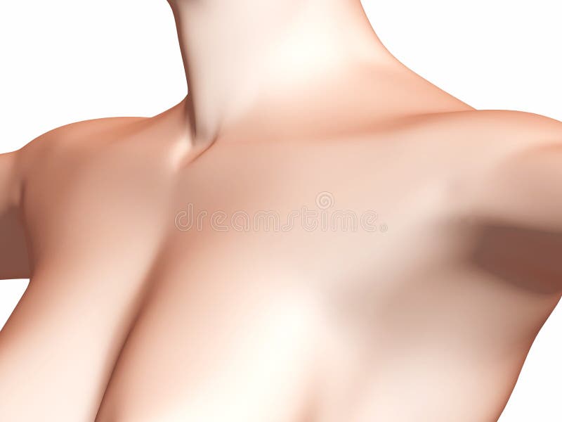 Female Chest And Neck Picture. Image: 5278647