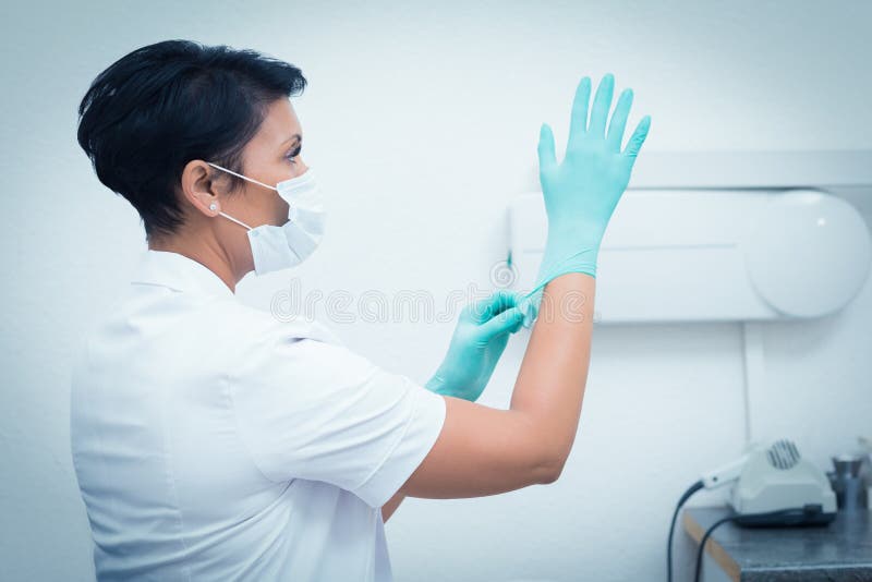 Female Dentist Wearing Surgical Glove Stock Photo Image of healthcare