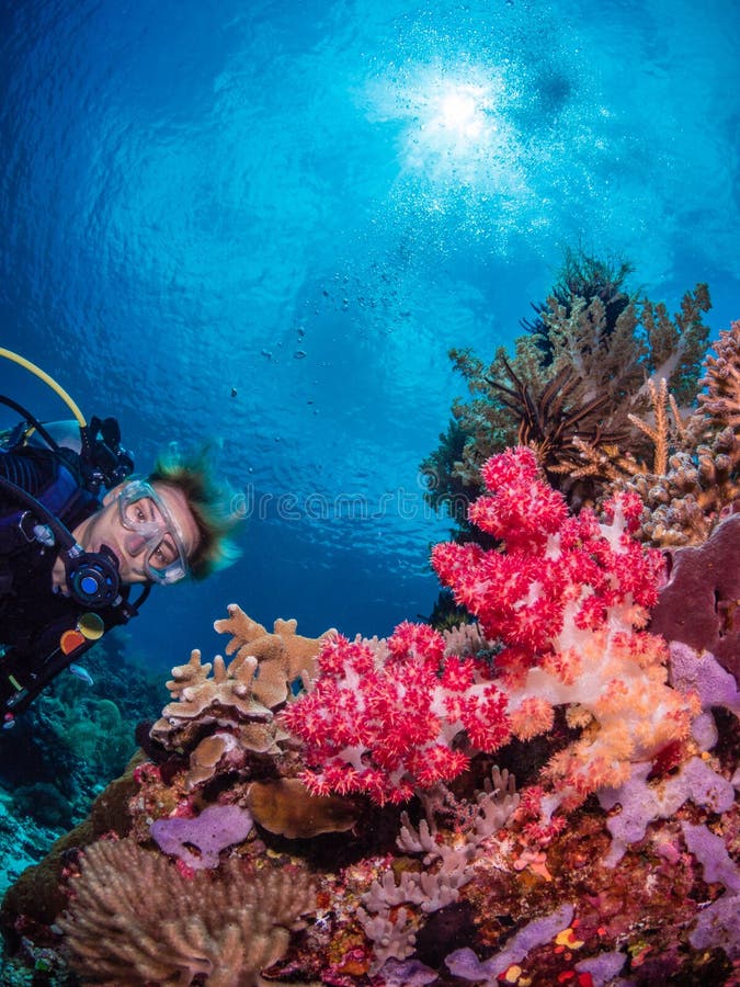 Lady diver and spectacular coral reef