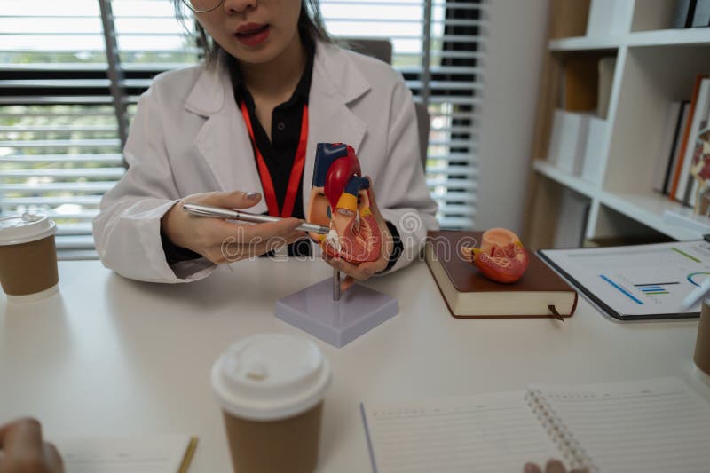 A female doctor is explaining the systems in the human body to two interns, three doctors are meeting to discuss the most stock image