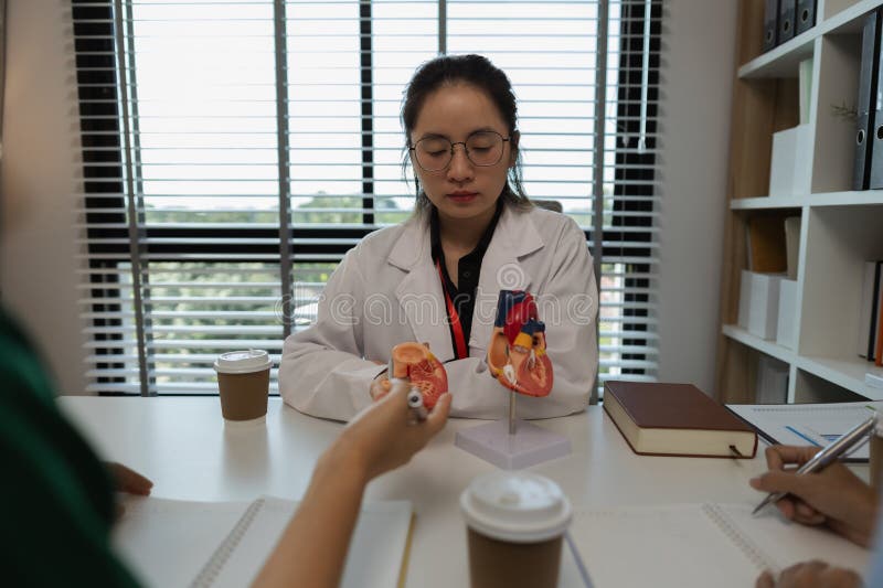 A female doctor is explaining the systems in the human body to two interns, three doctors are meeting to discuss the most royalty free stock photography