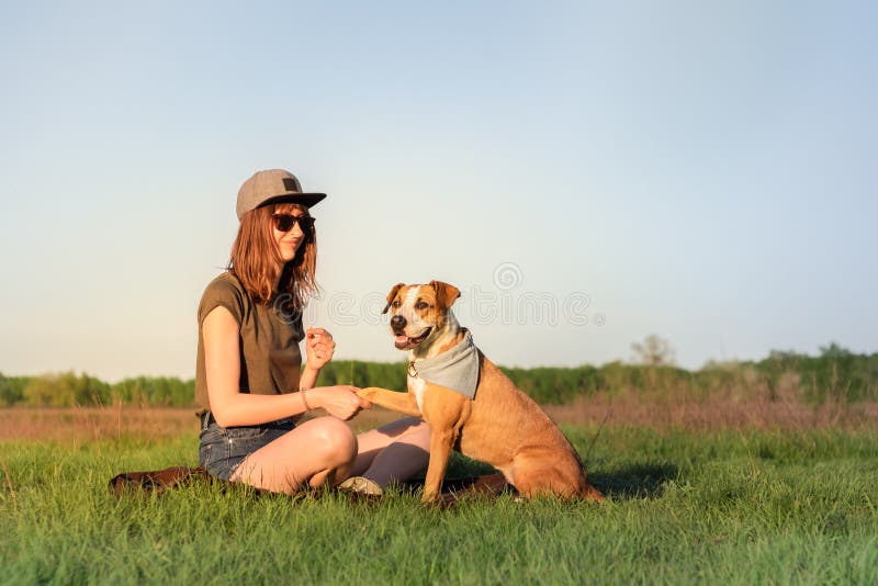 Female dog owner and trained staffordshire terrier giving paw royalty free stock images Female dog owner and trained staffordshire terrier giving paw royalty free stock images