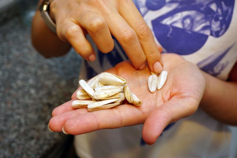 Female Eating Sunflower Seeds in Hand Stock Photo Image of ingredient, white 257585414