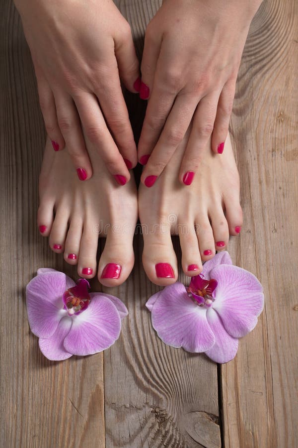 Female Elegance Feet Red Pedicure Nails Spa Therapy Stock Image Image