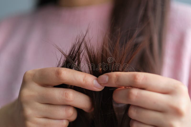 Female Ends of Hair Care Problems. Hair Suffers from Improper Care Stock Image Image of girl