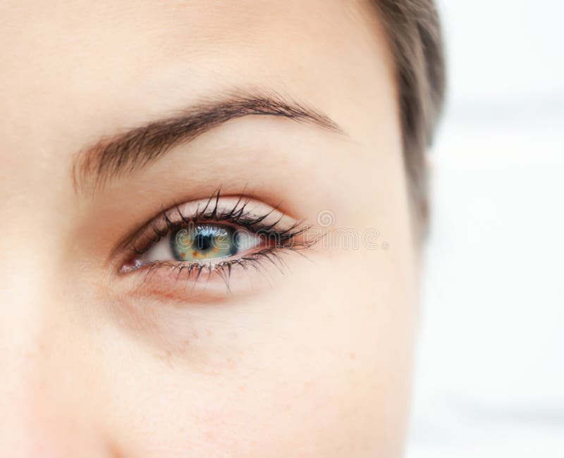 Female Eye Closeup. Looking into the Camera Stock Photo Image of