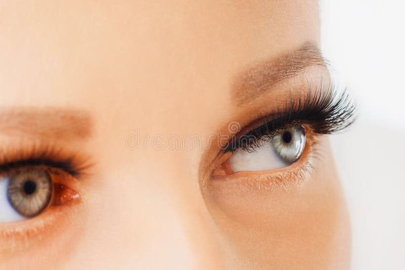 Female eyes with extreme long false eyelashes. Eyelash extensions, make-up, cosmetics, beauty royalty free stock image Female eyes with extreme long false eyelashes. Eyelash extensions, make-up, cosmetics, beauty royalty free stock image