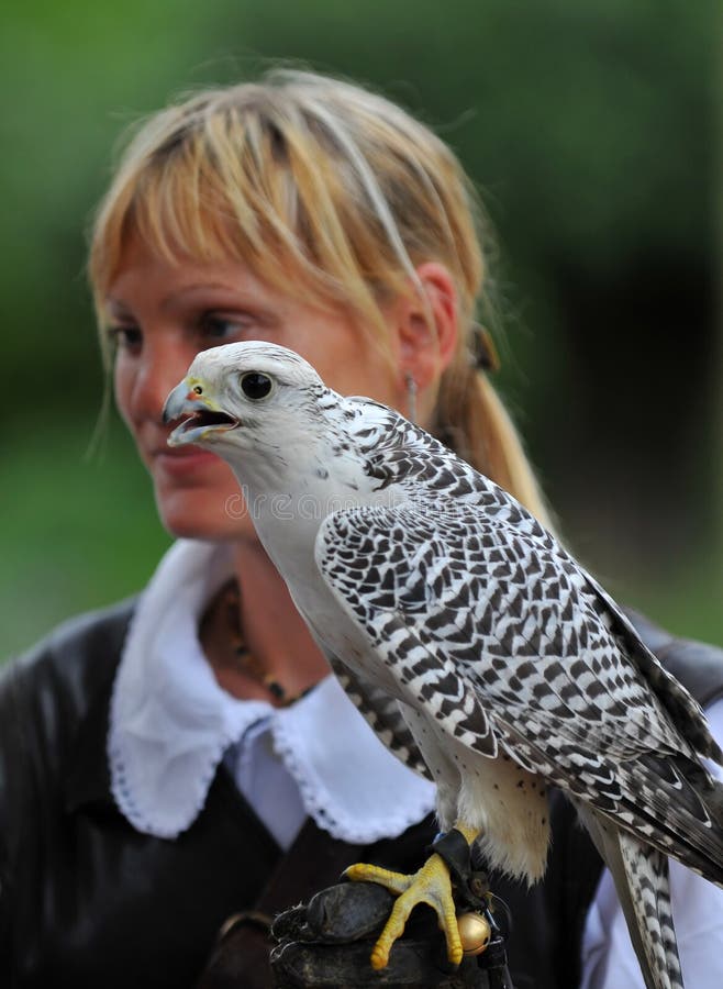 Woman Falconer editorial stock photo. Image of nature 15613663