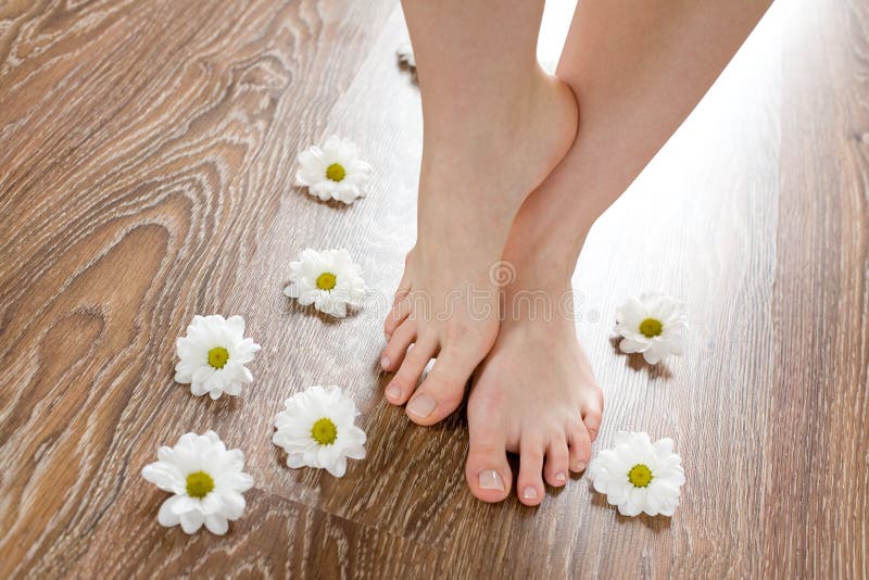 Female feet on the dark floorboard stock photos