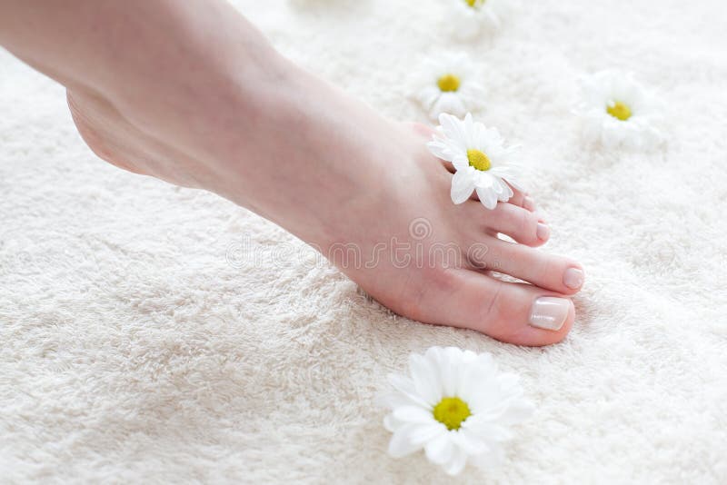 Female feet with white daisies. stock images