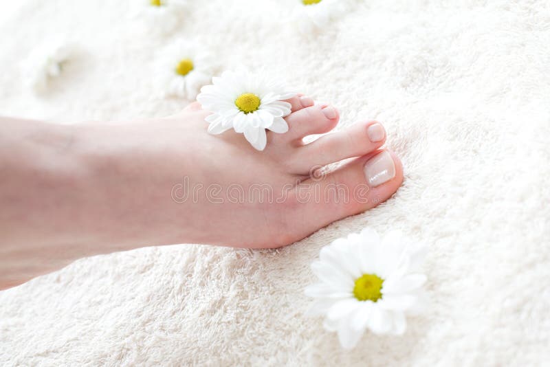 Female feet with white daisies. stock photos