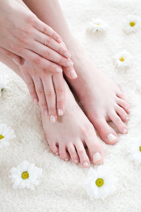 Female feet with white daisies. stock photo
