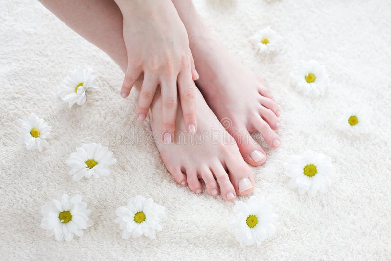 Female feet with white daisies. stock images