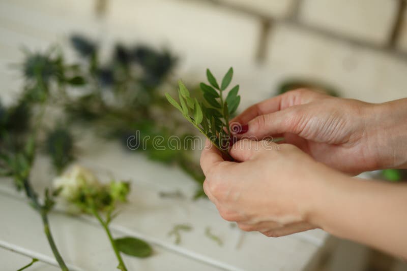 Female florist collect bouqet from fresh flower for wedding ceremony decoration. Event fresh flowers decoration. Florist workflow royalty free stock photography Female florist collect bouqet from fresh flower for wedding ceremony decoration. Event fresh flowers decoration. Florist workflow royalty free stock photography