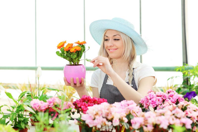 Female gardener examining flower royalty free stock photos Female gardener examining flower royalty free stock photos