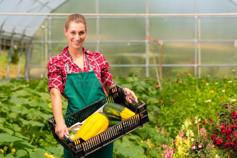 Female gardener at market gardening or nursery with apron and vegetables. Female gardener at market gardening or nursery with apron and vegetables