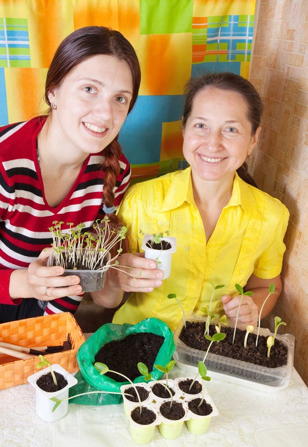 Secret Weapon for Gardeners: Seedling Oil Works Like Magic Today