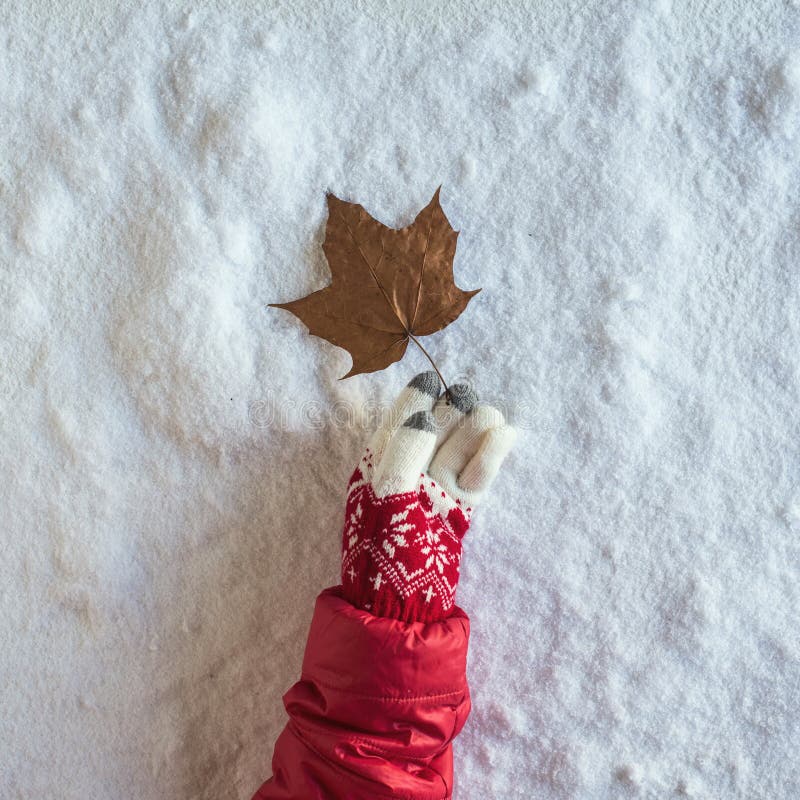 Female hand in a christmas winter gloves with dry maple leaf on snow. Changing season concept. First snow.