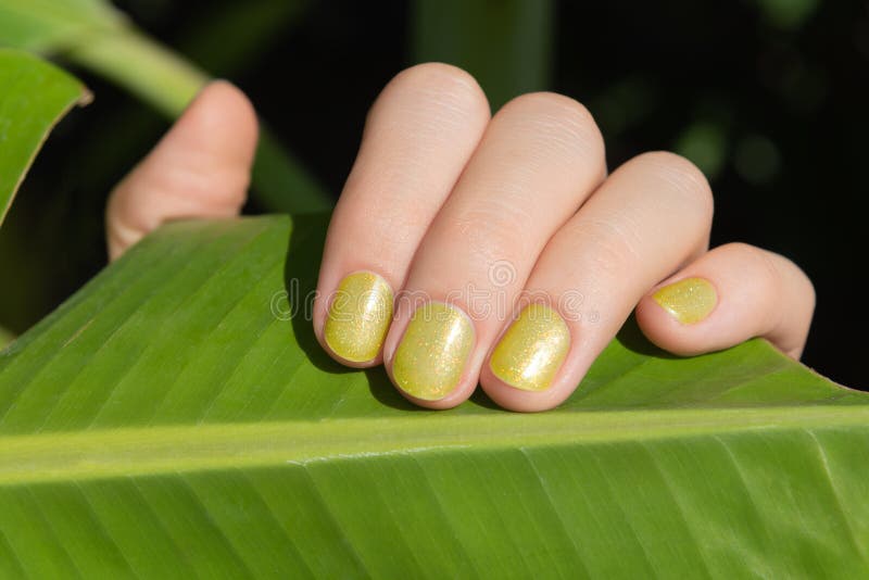 Female Hand with Glitter Nail Design Holding Green Leaf Stock Image