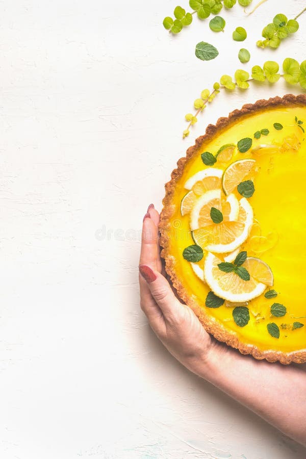 Female hand holding lemon tart topped with citrus slices on white table background, top view. Copy space. Border. Traditional royalty free stock photography