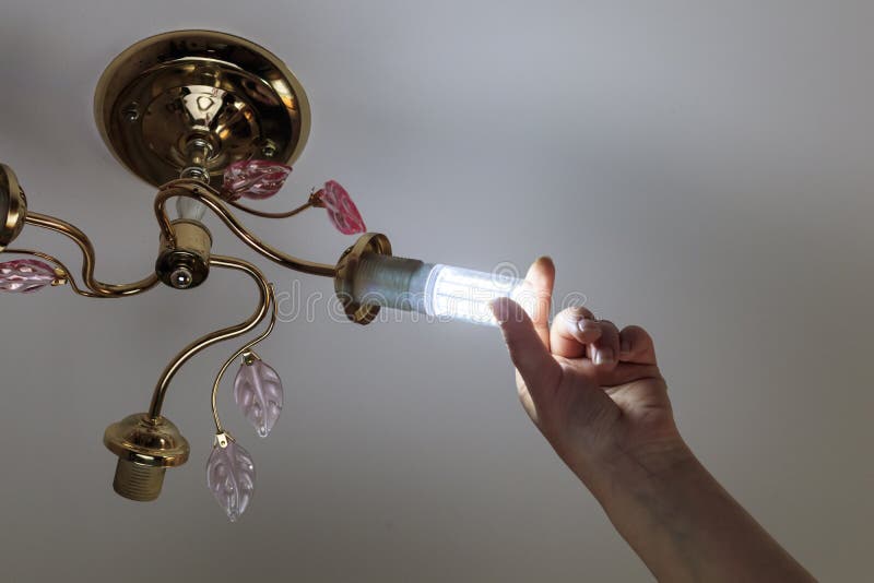 Female hand inserts a light bulb into the threaded socket. she is shining. Installation of household LED lamps of corn type, in royalty free stock image
