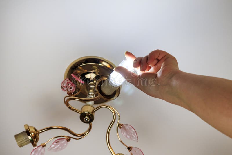 Female hand inserts a light bulb into the threaded socket. she is shining. Installation of household LED lamps of corn type, in stock image